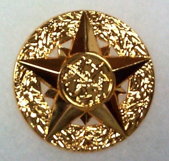Public Health Service Surgeon General Badge Medal, mini  