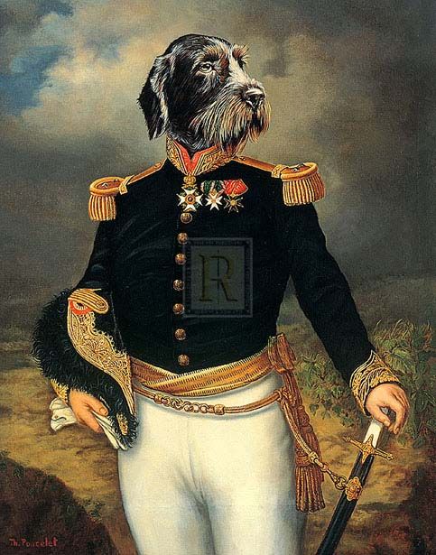 THIERRY PONCELET Ceremonial Dress dog in uniform NEW  