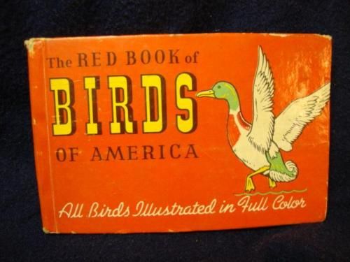 The Red Book of Birds of America   Book  