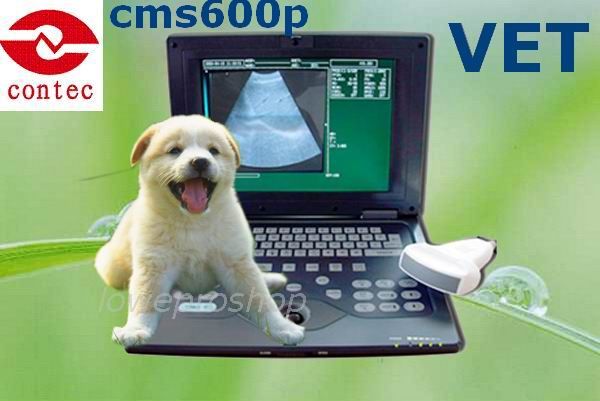 Veterinary Laptop B Ultrasound Scanner + Rectal Probe  