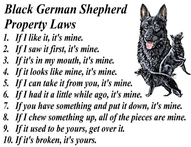 PARCHMENT PRINT= BLACK GERMAN SHEPHERD DOG PROPERTY LAW  