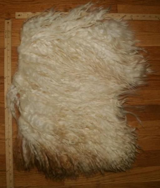 of extra large pelt natural Angora goat hide 24724  