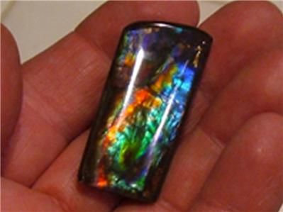 39x18.5mm AMMOLITE ammonite Gemstone Doublet Quartz Cap 49cts only one 