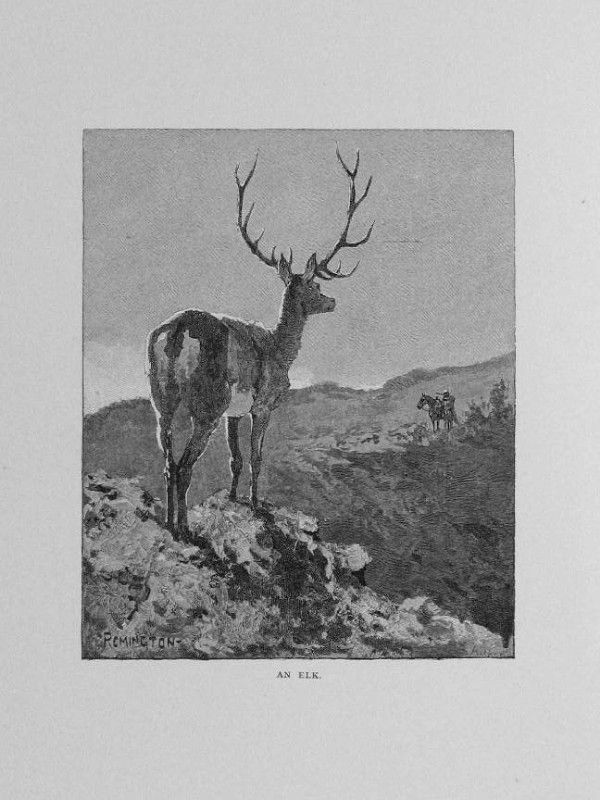   Roosevelt Big Game Hunting Frederick Remington Painting Print BOOK