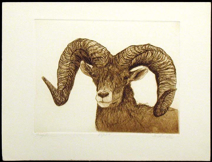 Jack Willis Bighorn Signed Original Art Etching Listed Artist MAKE 