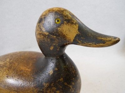 Vintage Blue Bill Factory Decoy Pair Evans Decoys Ladysmith Wisconsin 