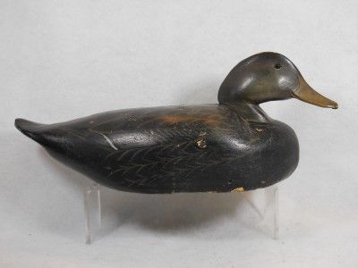 Vintage Black Duck Working Decoy Southern Lower Eastern Shore 