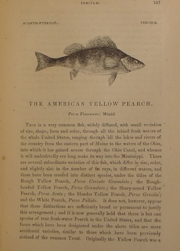   Antique FLY FISHING Fresh Water US FISH Deep Sea Lure vtg book  