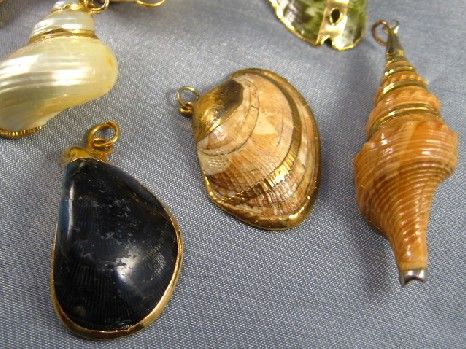 Vtg Pendant Lot Natural Shells Gold Dipped X 9 Awesome  