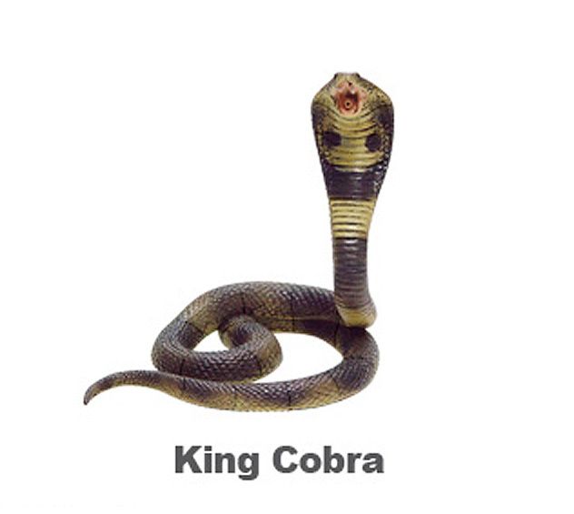 New King Cobra 4D Puzzle Fame Master 3D snake  