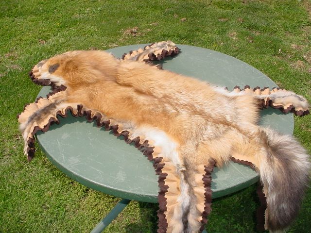 Red Pearl Fox Fur Hand Sewn Felt Rug Tanned hide/skin  