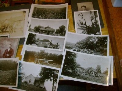 Estate Lot Old Photographs Farm Horse Hitch Rural  