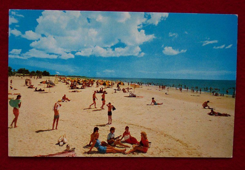 1960s Beach From Fishing Pier Clearwater Beach FL PC  