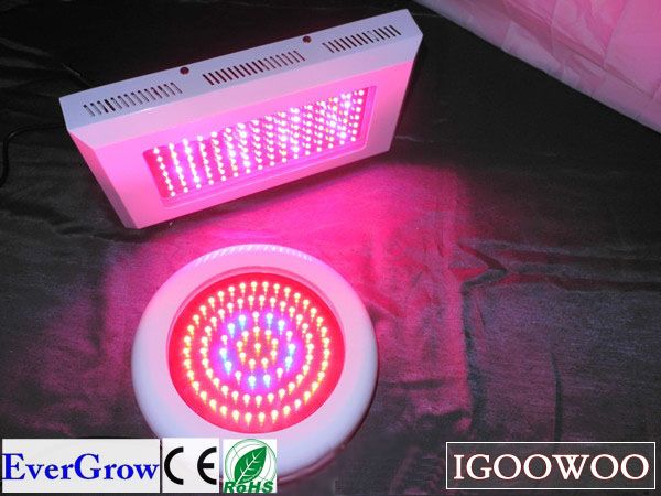   the evergrow ufo 90 watt led grow light is the no 1 selling led ufo in