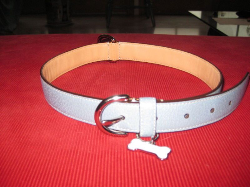 COACH light blue XL dog collar NEW  